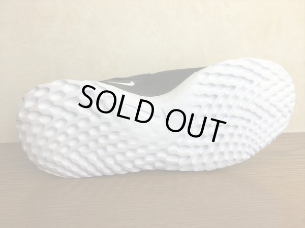 画像3: NIKE（ナイキ）  RENEW ARENA SPT（リニューアリーナSPT） スニーカー 靴 ウィメンズ 新品 (277) (3)