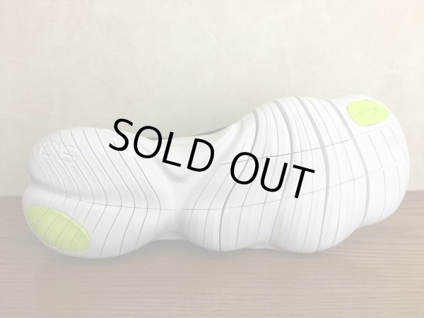 画像3: NIKE（ナイキ）  FREE RN 5.0（フリーラン5.0） スニーカー 靴 ウィメンズ 新品 (581) (3)