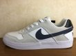 画像1: NIKE（ナイキ）(SB) DELTA FORCE VULC（デルタフォースヴァルク） スニーカー 靴 メンズ 新品 (643) (1)