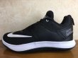 画像1: NIKE（ナイキ） FLY.BY LOW II（FLY.BY LOW II） スニーカー 靴 メンズ 新品 (654) (1)