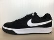 画像1: NIKE（ナイキ）(SB) ADVERSARY（アドバーサリー） スニーカー 靴 メンズ 新品 (805) (1)