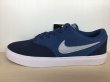 画像1: NIKE（ナイキ）(SB) CHECK SOLAR（チェックソーラー） スニーカー 靴 メンズ 新品 (877) (1)