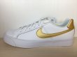 画像1: NIKE（ナイキ） COURT ROYALE AC（コートロイヤルAC） スニーカー 靴 ウィメンズ 新品 (1076) (1)