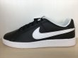 画像1: NIKE（ナイキ）  COURT ROYALE（コートロイヤル） スニーカー 靴 メンズ 新品 (1169) (1)