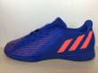 画像1: adidas（アディダス） PREDATOR EDGE.4 IN SALAJ（プレデターエッジ.4 IN SALAJ） スニーカー 靴 キッズ・ジュニア 新品 (1357) (1)