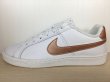 画像1: NIKE（ナイキ） COURT ROYALE（コートロイヤル） スニーカー 靴 ウィメンズ 新品 (1421) (1)