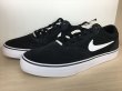 画像4: NIKE（ナイキ）(SB) CHRON 2（クロン2） スニーカー 靴 メンズ 新品 (1462) (4)