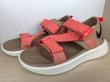 画像4: NIKE（ナイキ） VISTA SANDAL（ビスタサンダル） 靴 サンダル ウィメンズ 新品 (1476) (4)