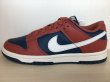 画像1: NIKE（ナイキ） DUNK LOW（ダンクLOW） スニーカー 靴 ウィメンズ 新品 (1520) (1)