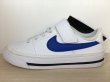 画像1: NIKE（ナイキ） COURT LEGACY PSV（コートレガシーPSV） スニーカー 靴 ジュニア 新品 (1543) (1)