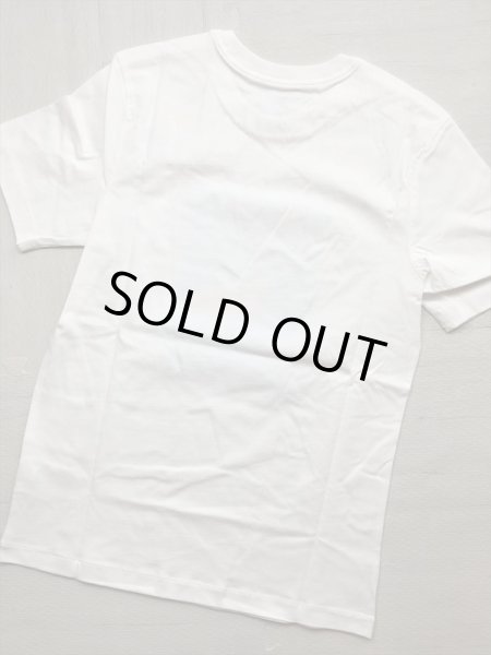 画像2: NIKE（ナイキ） NSW ビーチフラミンゴ トップス カットソー Tシャツ TEE アパレル メンズ 新品 (68) (2)