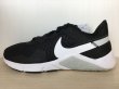 画像1: NIKE（ナイキ） LEGEND ESSENTIAL 2（レジェンドエッセンシャル2） スニーカー 靴 ウィメンズ 新品 (1820) (1)