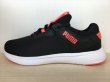 画像1: PUMA（プーマ） SOFTRIDE VITAL 2 FEMME NU（ソフトライドバイタル2フェミNU） スニーカー 靴 ウィメンズ 新品 (2256) (1)