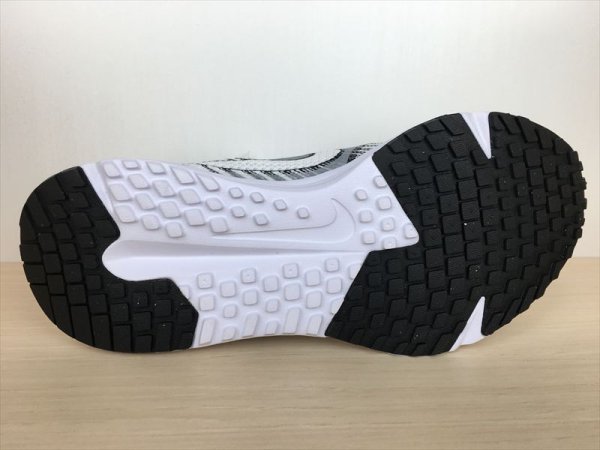 画像3: NIKE（ナイキ） RUN DEFY（ランディファイ） スニーカー 靴 メンズ 新品 (2272) (3)