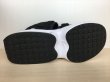 画像3: NIKE（ナイキ） AIR MAX SOL SANDAL（エアマックスソルサンダル） スニーカー 靴 サンダル ウィメンズ 新品 (2313) (3)
