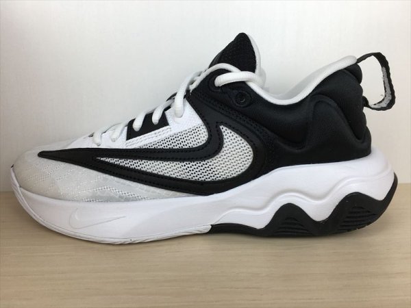 画像1: NIKE（ナイキ） GIANNIS IMMORTALITY 3（ヤニスイモータリティ3） スニーカー 靴 メンズ 新品 (2356) (1)