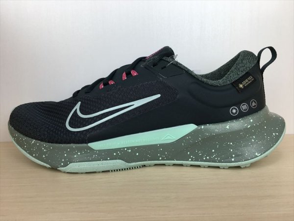 画像1: NIKE（ナイキ） JUNIPER TRAIL 2 GTX V2（ジュニパートレイル2 GTX V2） スニーカー 靴 メンズ 新品 (2402) (1)