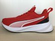 画像1: PUMA（プーマ） Flyer Lite 3（フライヤーライト3） スニーカー 靴 メンズ ウィメンズ ユニセックス 新品 (2426) (1)
