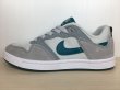 画像1: NIKE（ナイキ）(SB) ALLEYOOP GS（アリウープ GS） スニーカー 靴 ジュニア 新品 (2477) (1)