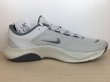 画像2: NIKE（ナイキ） LEGEND ESSENTIAL 3 NN（レジェンドエッセンシャル3 NN） スニーカー 靴 メンズ 新品 (2521) (2)