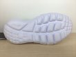 画像3: NIKE（ナイキ） FLEX RUNNER 2 PSV（フレックスランナー2 PSV） スニーカー 靴 ジュニア 新品 (2523) (3)